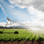 The Importance of HDPE in Agricultural Irrigation Systems